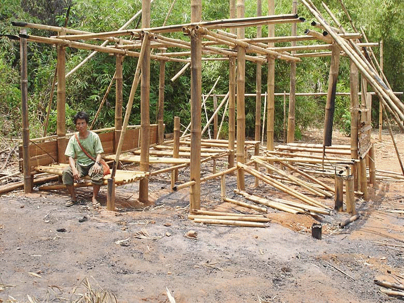 africa_afrique_forêt_forest_deforestation_sustainable__wood_bois_culture_agriculture_asia_asie_china_chine_india_inde_vietnam_laos_bali_development_architecture_house_moso_bambou_bamboo_bambu_bambusa_développement_durable_cop_21